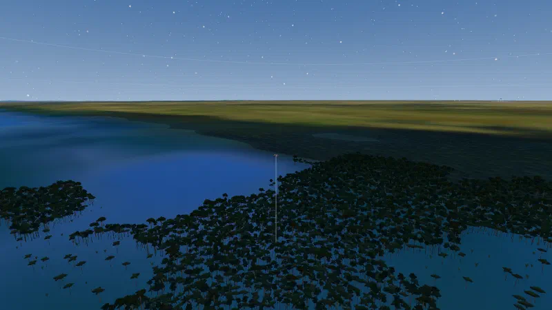 Trees growing out of shallow blue coastal water.