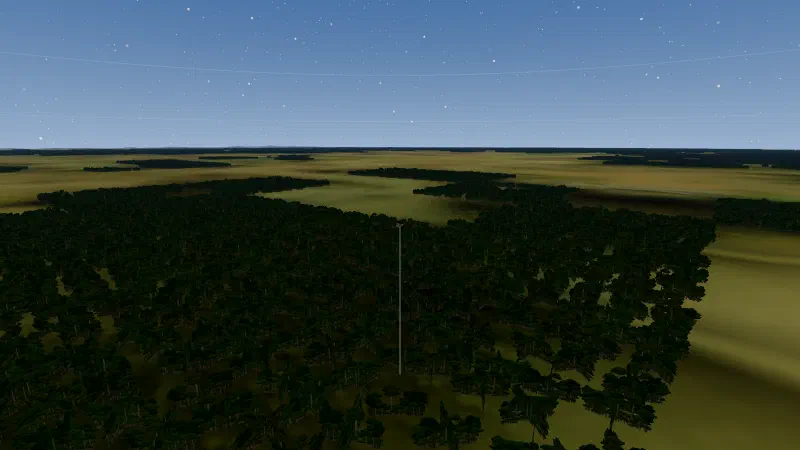 Dense dark forest in the foreground with open farmland beyond and treelines toward the horizon.